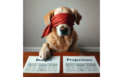 Budgets and Projections